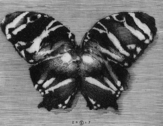 P_D_16979