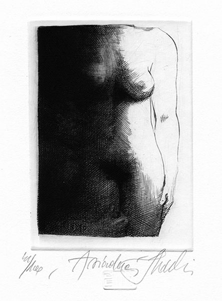 P_D_7329