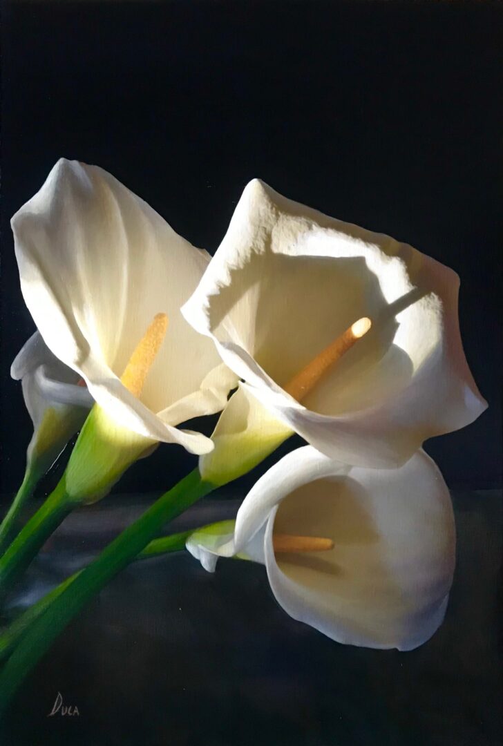 Duca Alvara Breccolotti (2)